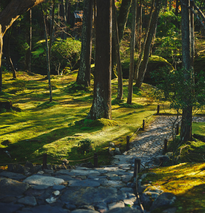 Walking in a World Heritage Garden