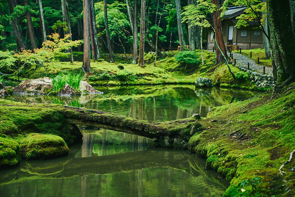 体露金風 西芳寺 第十景ピーター・J・マクミラン(翻訳家・詩人)