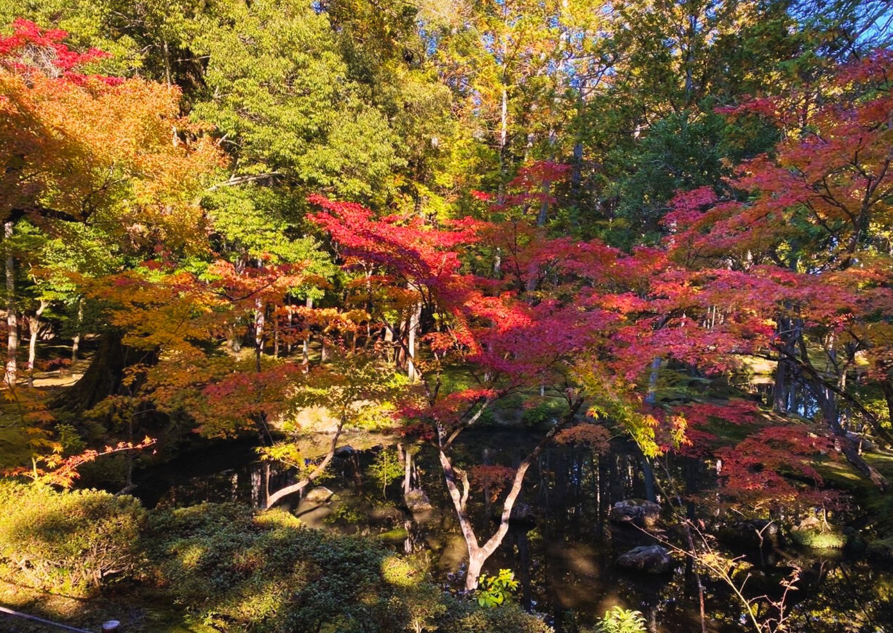 Winds of Gold—A Hundred Views of Saihoji