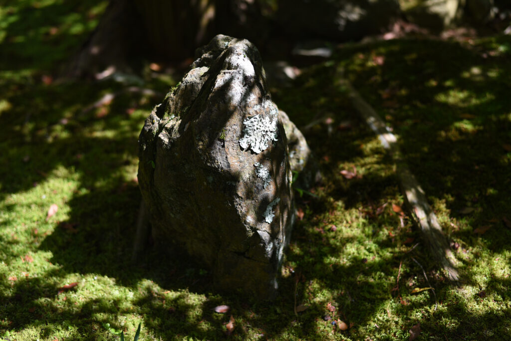 西芳寺の地霊ゲニウス・ロキ（前編）造園学者 尼﨑博正