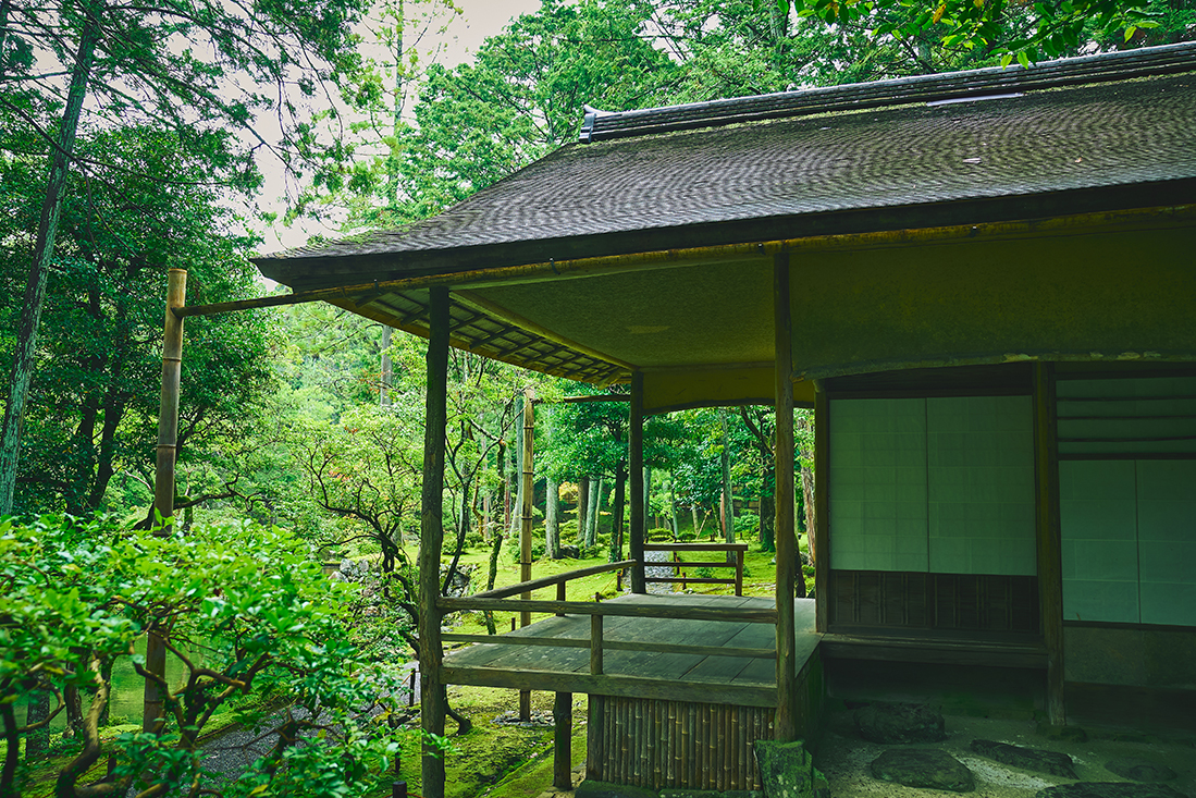 Winds of Gold—A Hundred Views of Saihoji