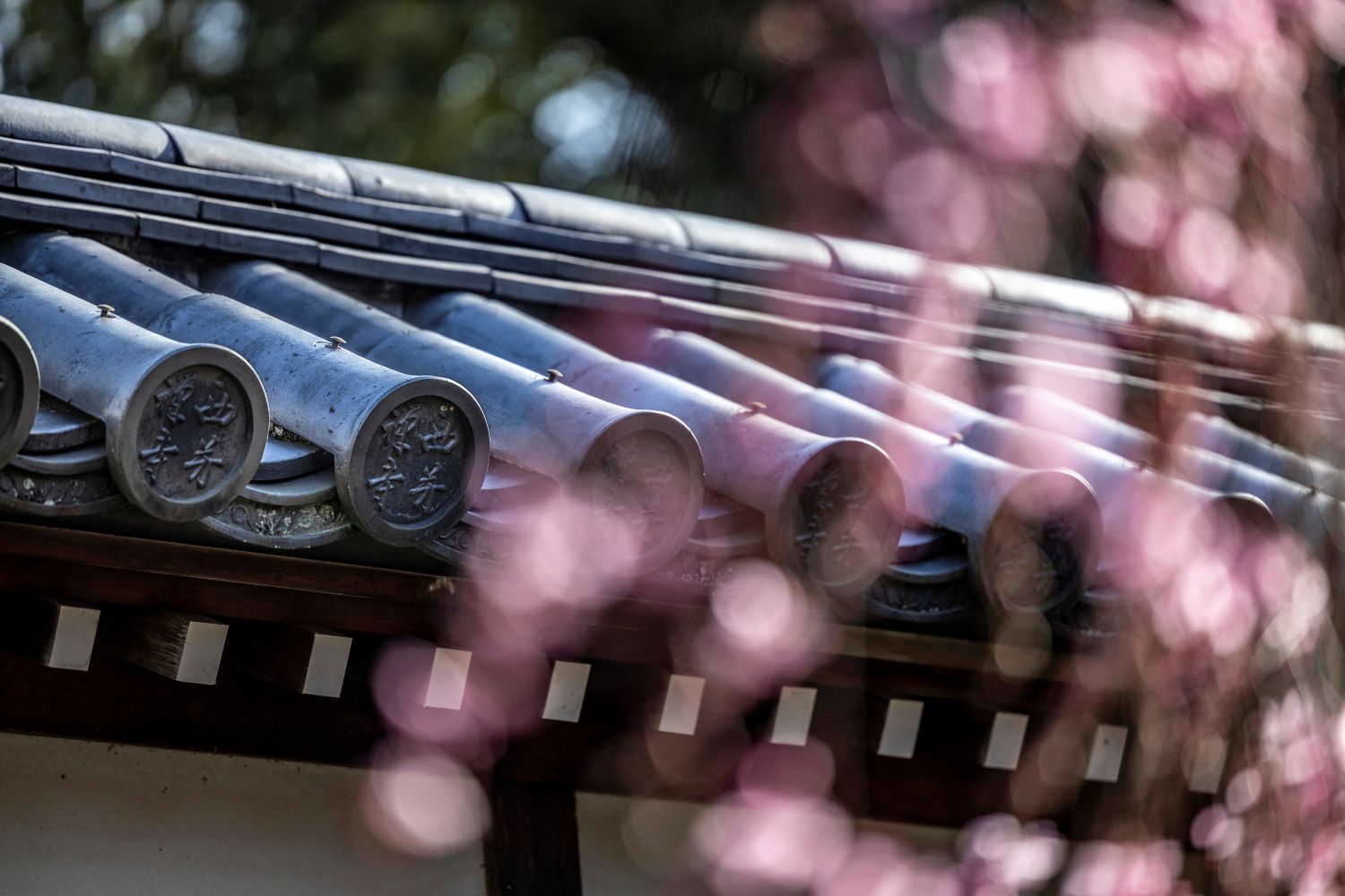 西芳寺のひと音