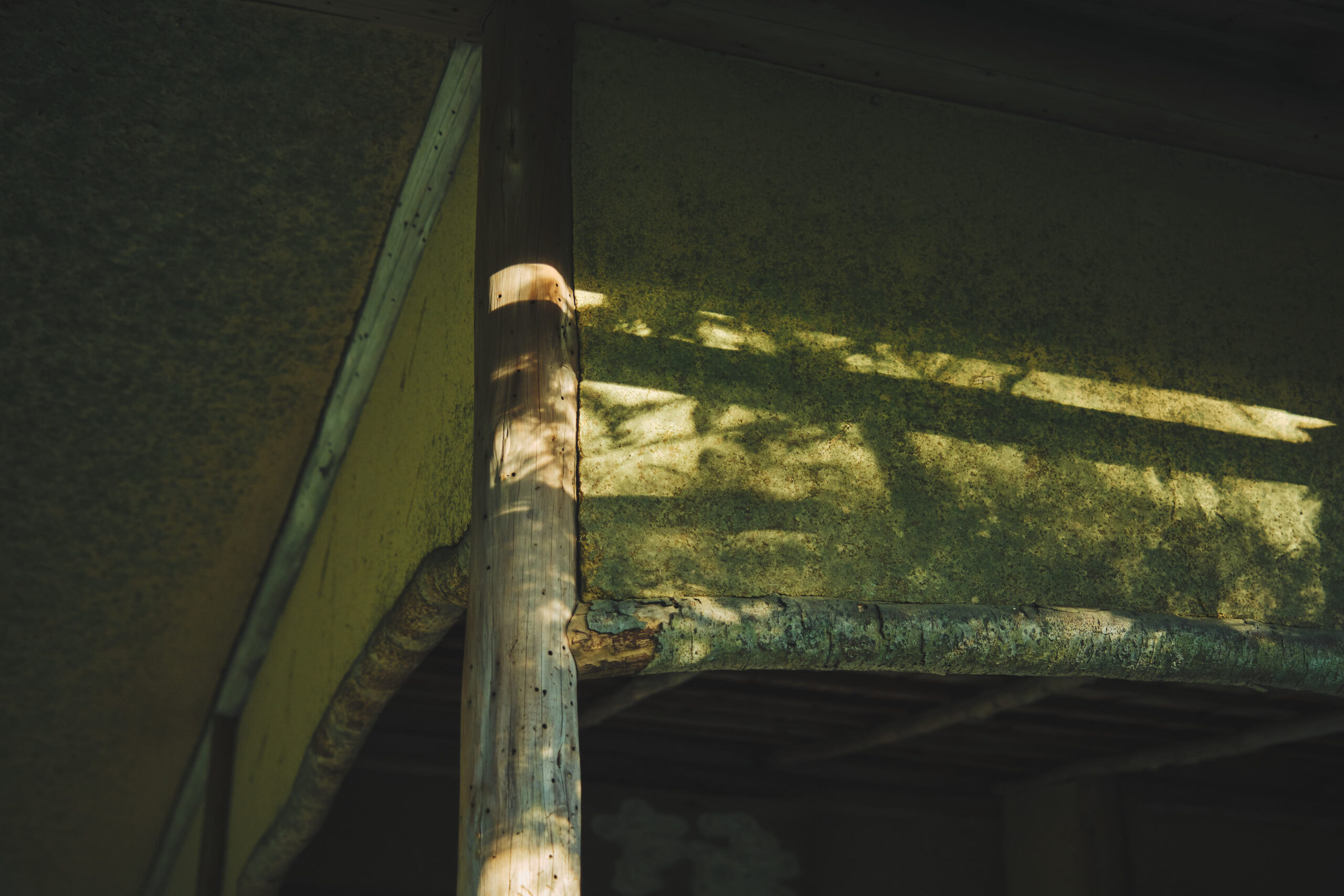 Winds of Gold—A Hundred Views of Saihoji