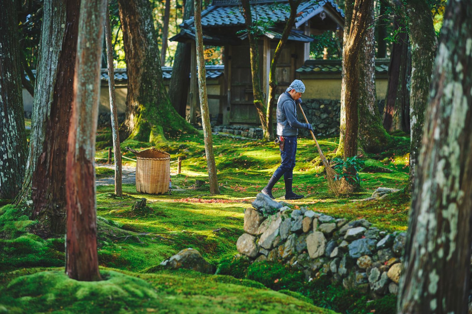 西芳寺のひと音