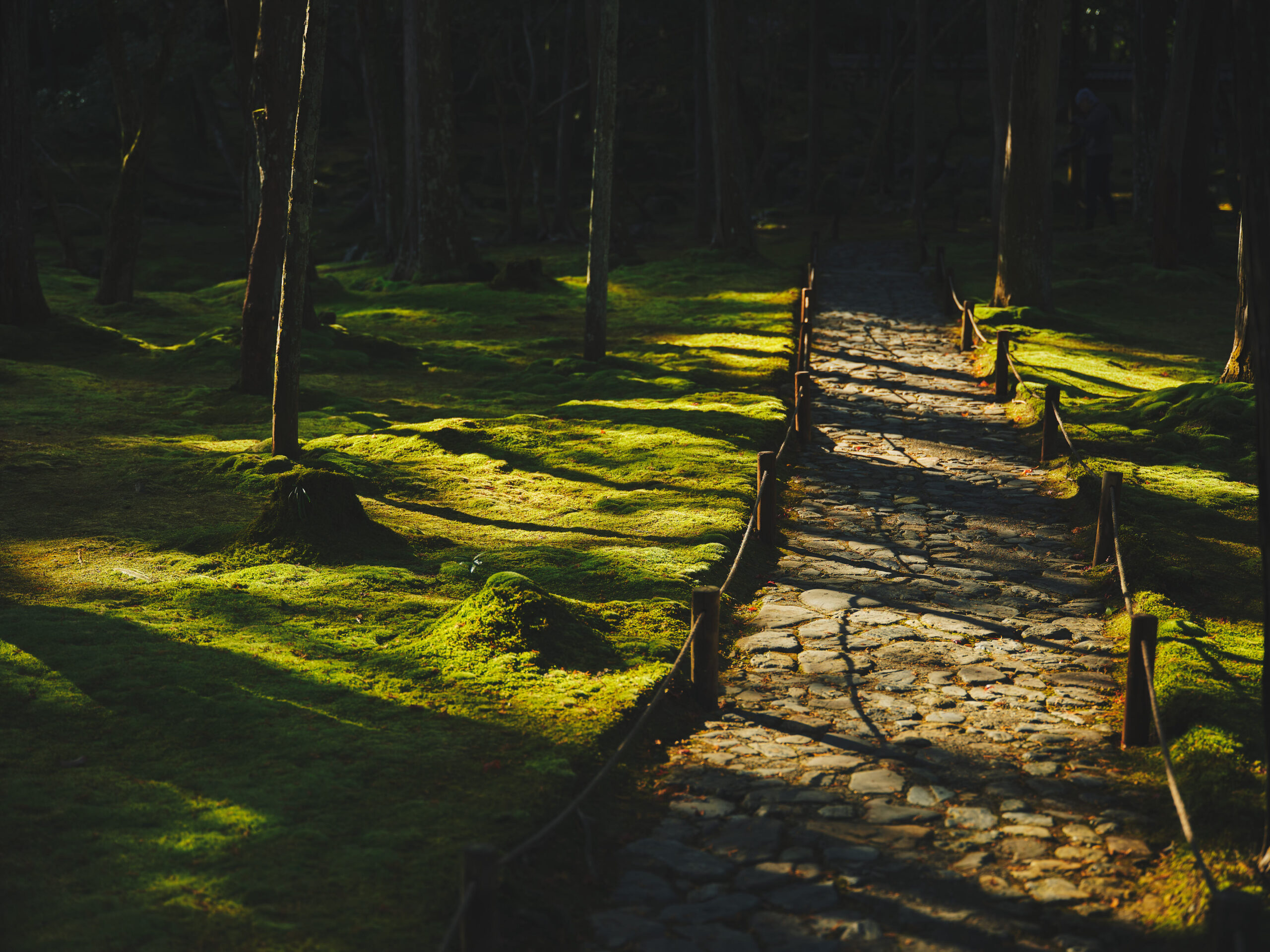 体露金風 西芳寺第二十四景ピーター・J・マクミラン(翻訳家・詩人)