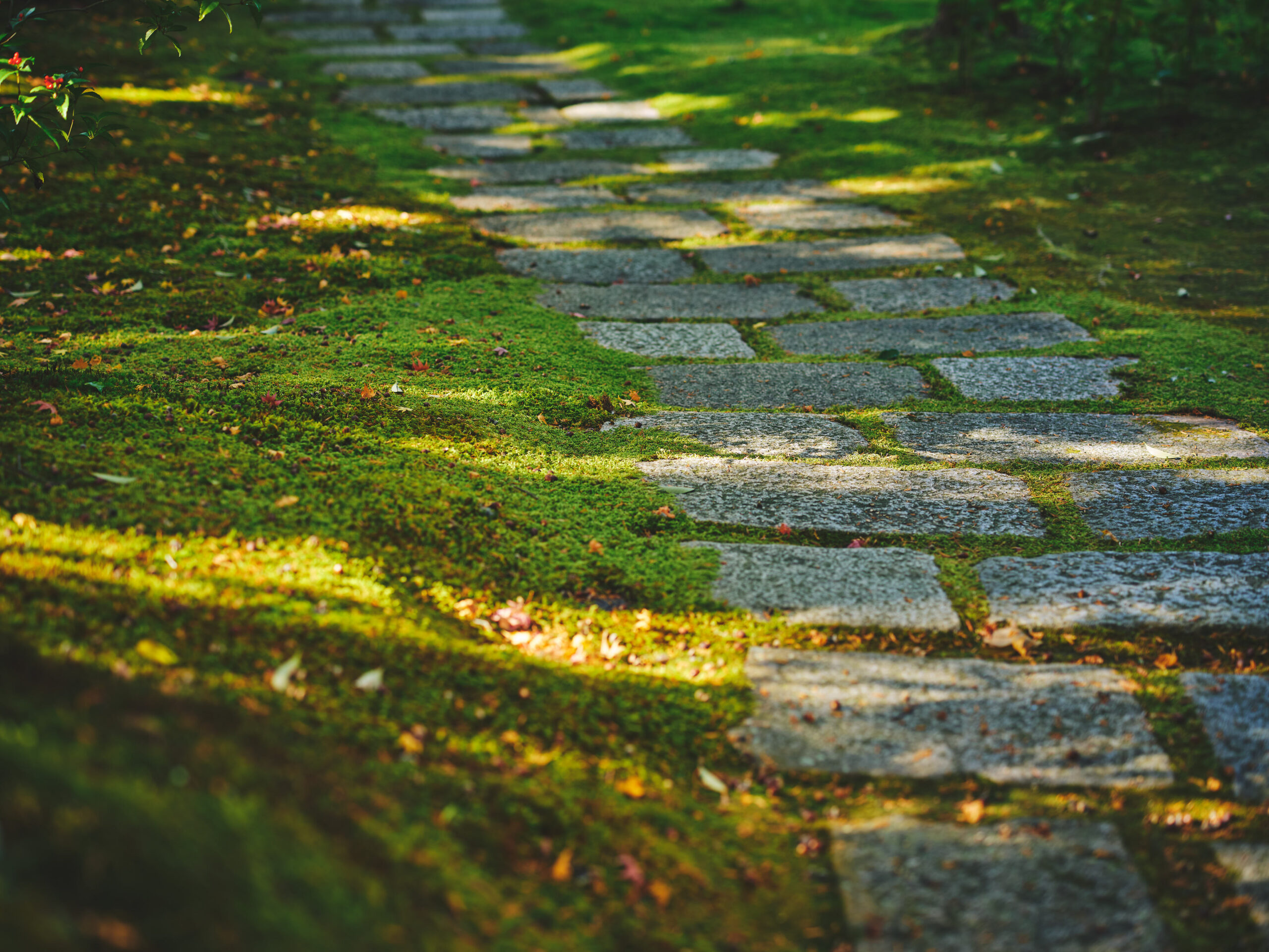 Hogejaku Day【For Saihokai Members】