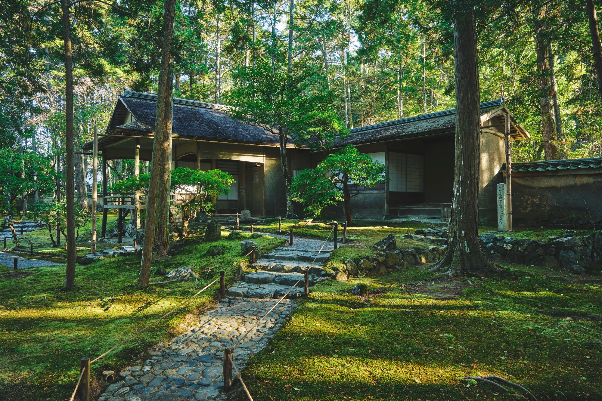 西芳寺の地霊ゲニウス・ロキ（後編）武者小路千家第15代家元後嗣 千 宗屋