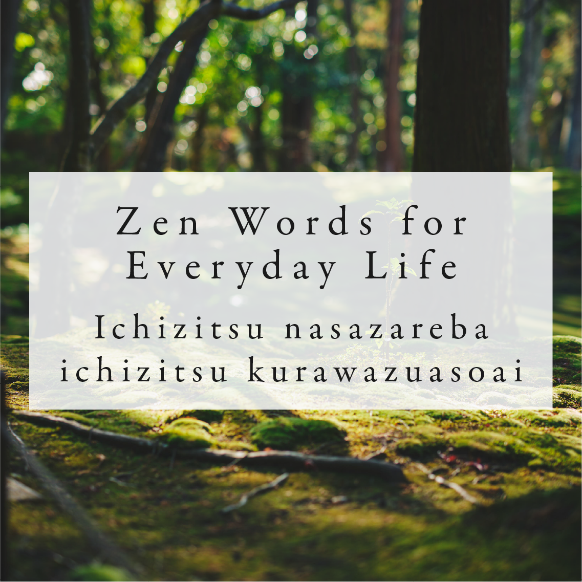 Zen Words for Everyday Life